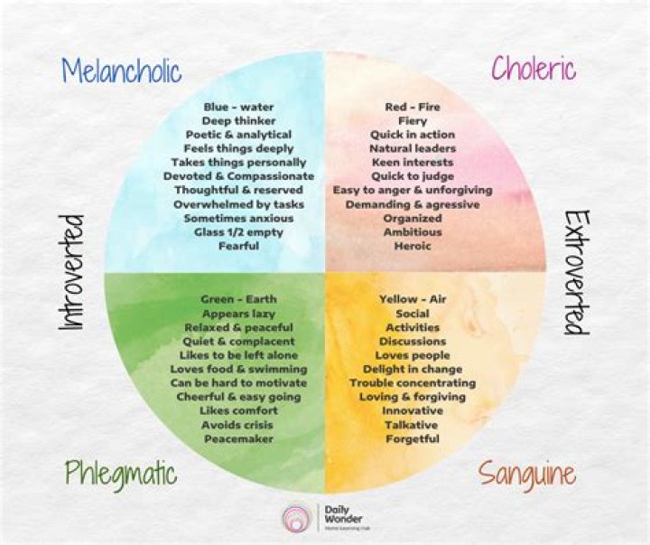 What are the 3 types of temperament profiles?