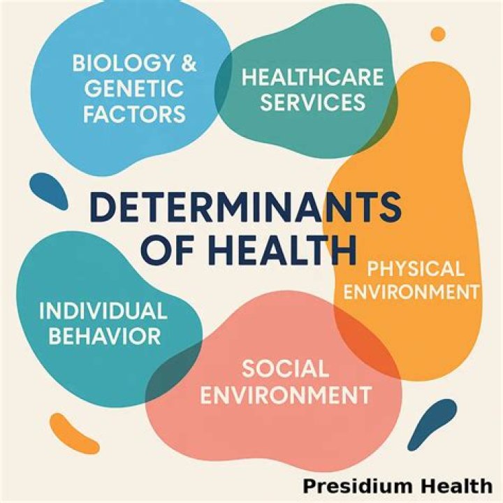 What are the 4 determinant of productivity?