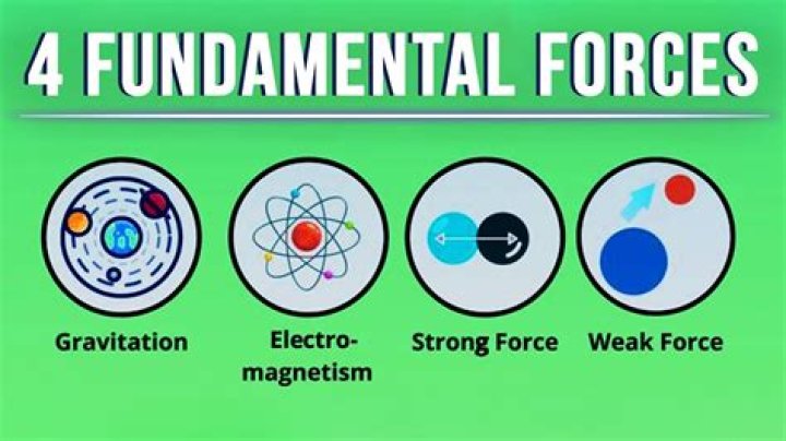 What are the 4 forces in physics?