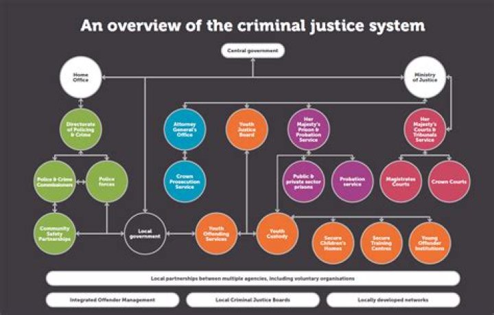 What are the 4 main goals of the criminal justice system?