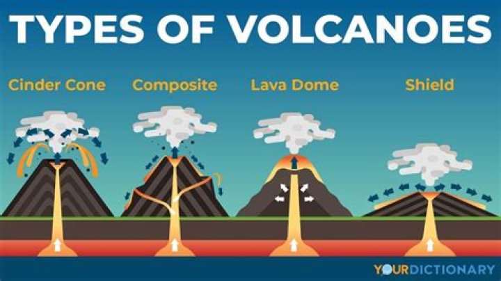 What are the 4 types of extinction?