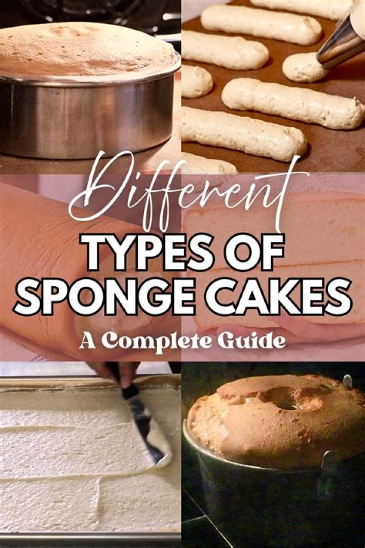 What are the 4 types of sponge cakes?