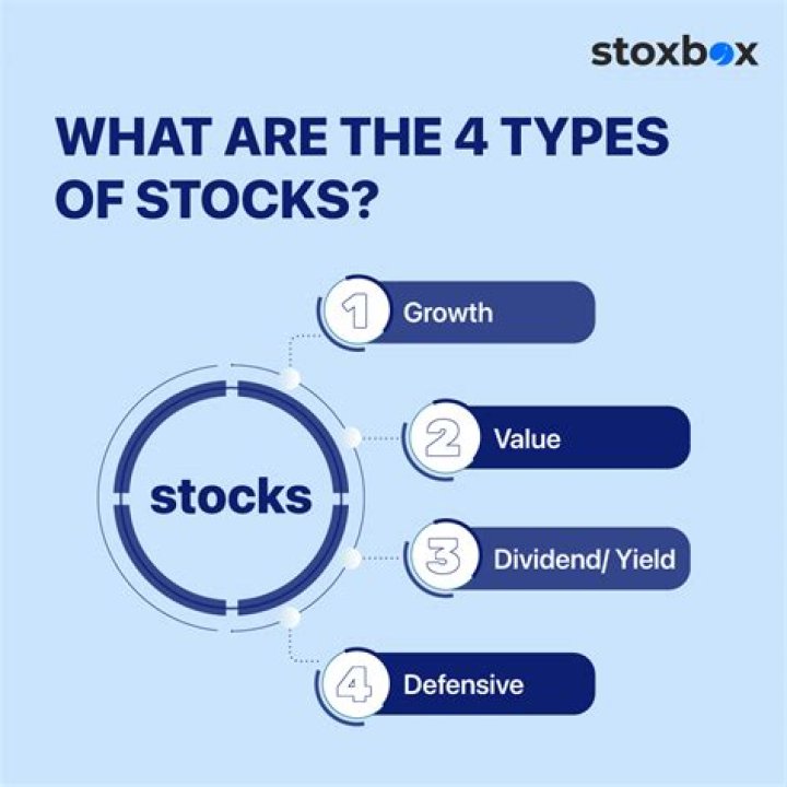 What are the 4 types of stocks food?