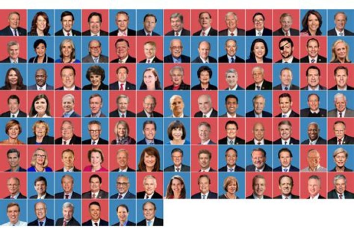 What are the 5 key duties of members of Congress?