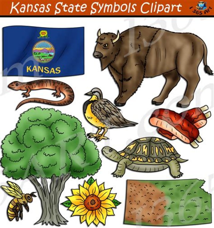 What are the 5 official Kansas state symbols?