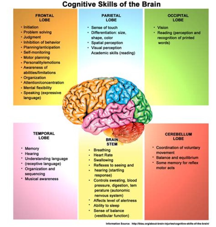What are the 6 cognitive skills?