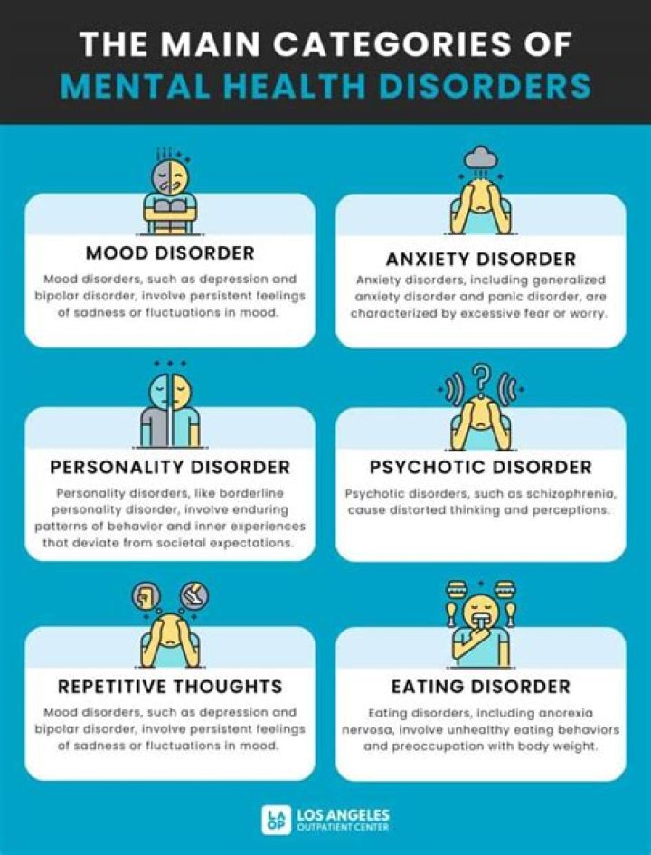 What are the 6 main classifications of mental disorders?