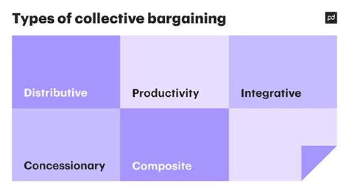 What are the 6 types of collective behavior?