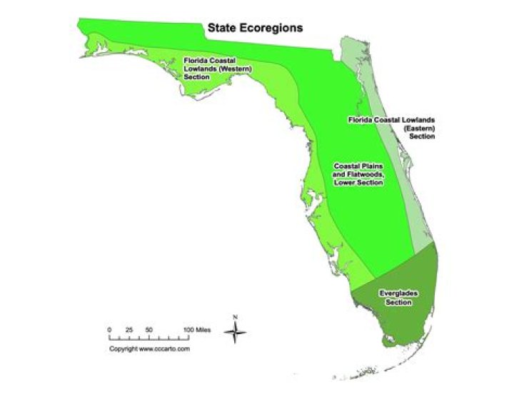 What are the 7 ecoregions of Florida?