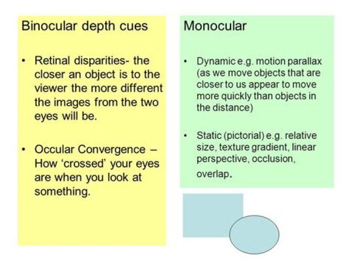 What are the 7 monocular depth cues?