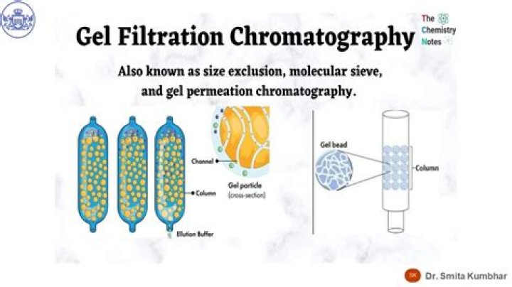 What are the applications of gel filtration chromatography?