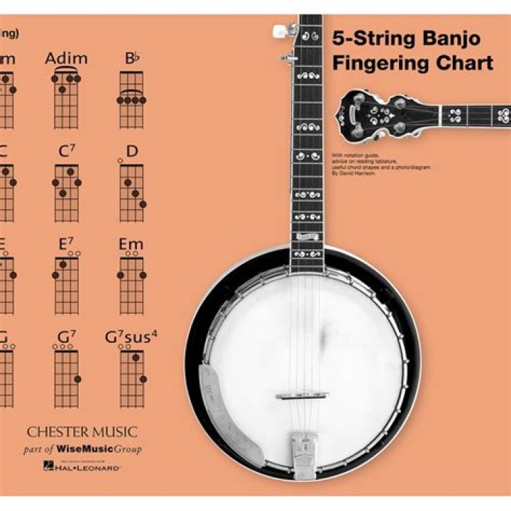 What are the banjo strings called?