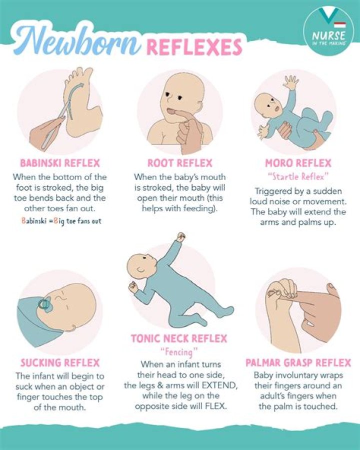 What are the basic reflexes of a newborn?