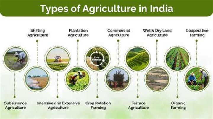 What are the basics of agriculture?