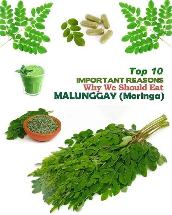 What are the benefits of Malunggay Life Oil?