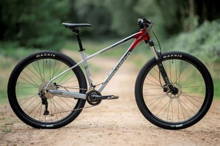 What are the bikes called with big tires?