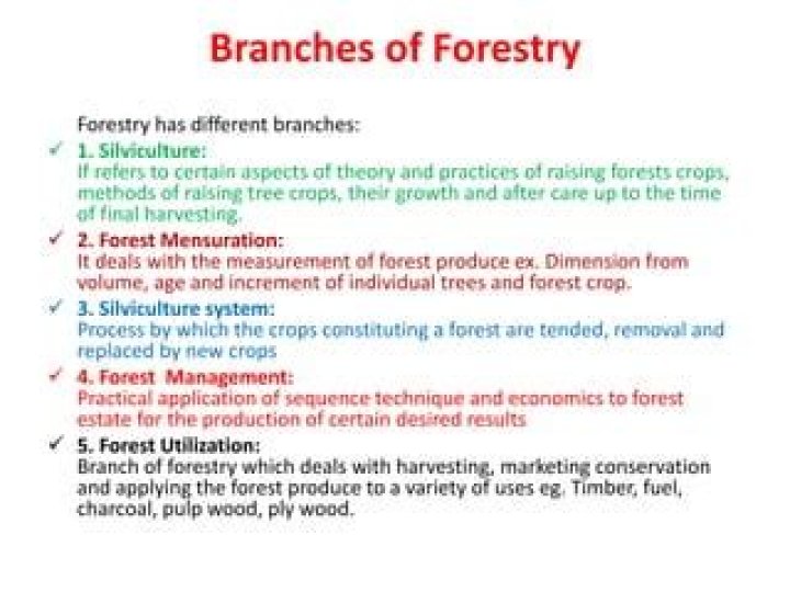 What are the branches of forestry?