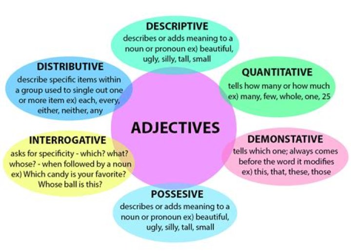 What are the categories of document?