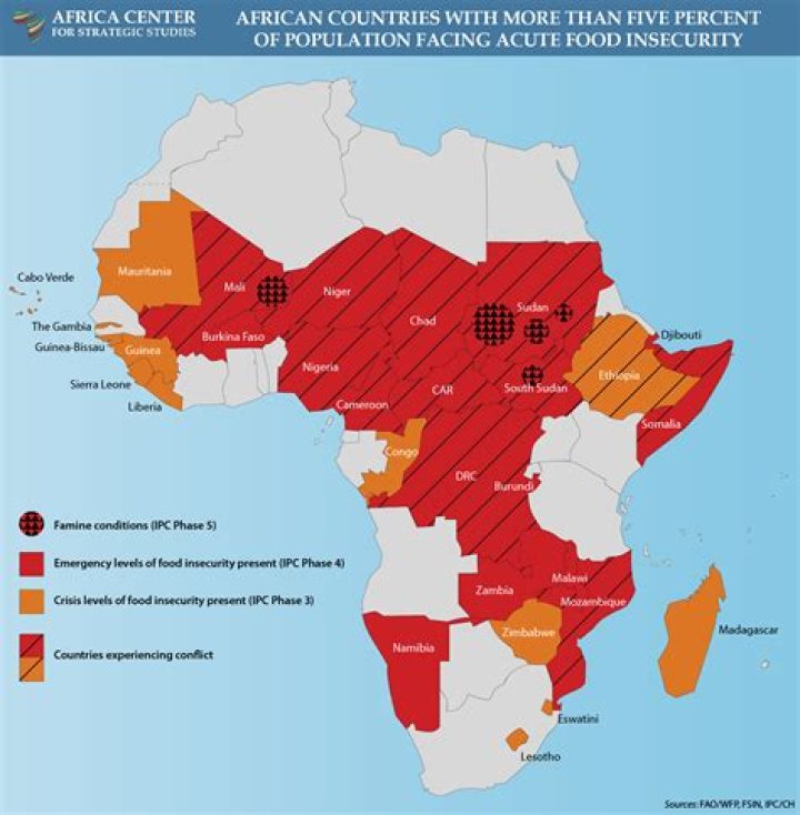 What are the causes of food crisis in Africa?
