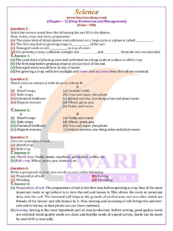 What are the chapters in Class 6 science?