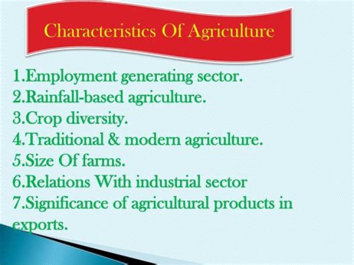 What are the characteristics features of agriculture in the USA?