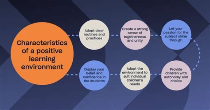 What are the characteristics of an ideal learning environment for the studies?
