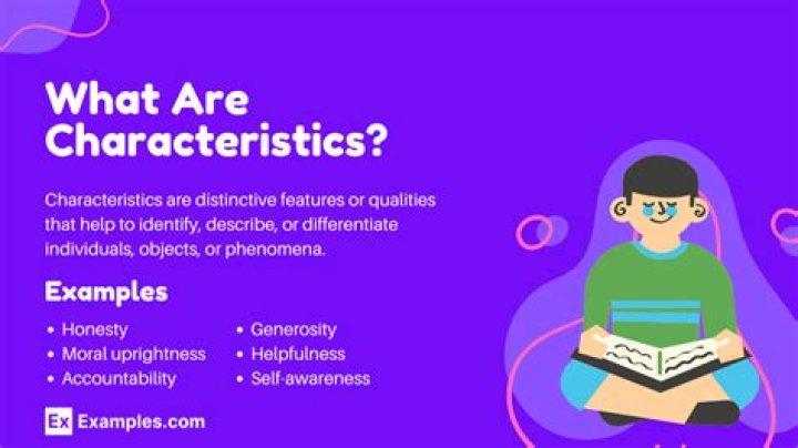 What are the characteristics of Houston?