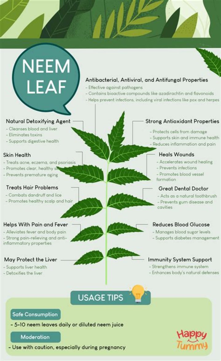 What are the chemical compounds present in neem leaves?