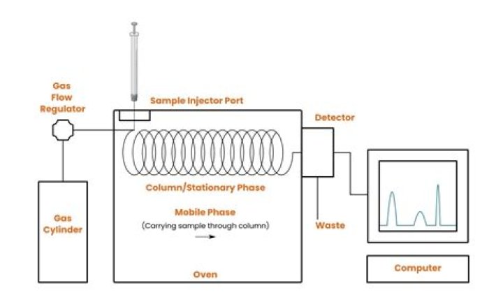 What are the components of gas chromatography?
