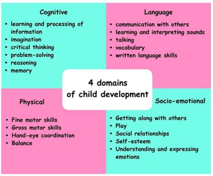What are the developmental characteristics?