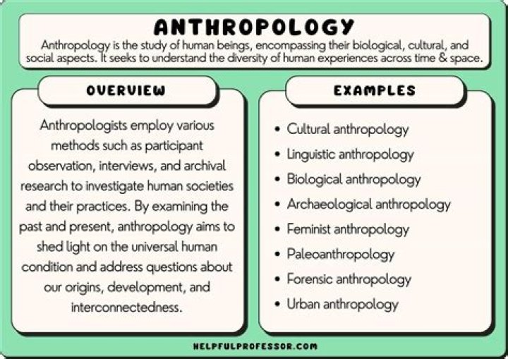 What are the differences between anthropology and sociology?