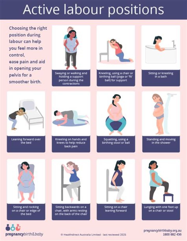 What are the different labor positions?