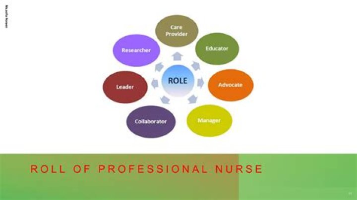 What are the different roles of a professional nurse?