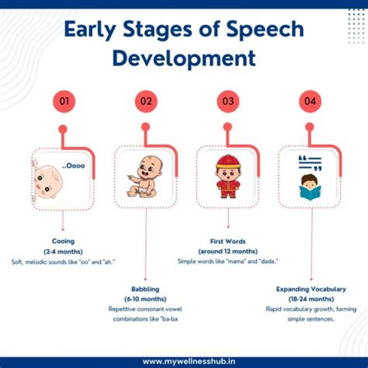What are the different stages of speech development?