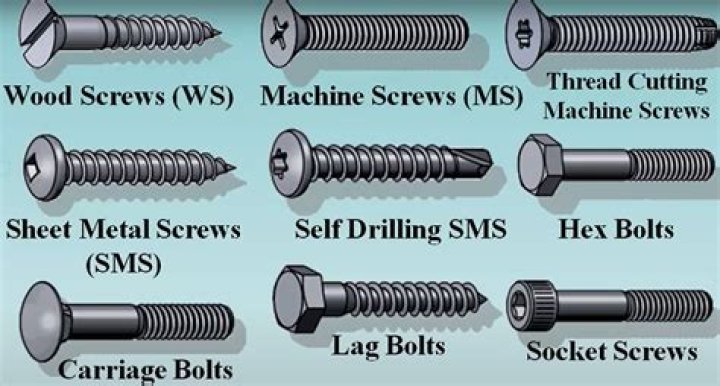 What are the different type of wood screws?