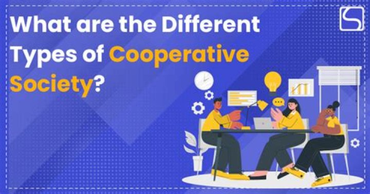 What are the different types of cooperative society?