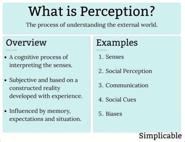 What are the different types of perception in psychology?