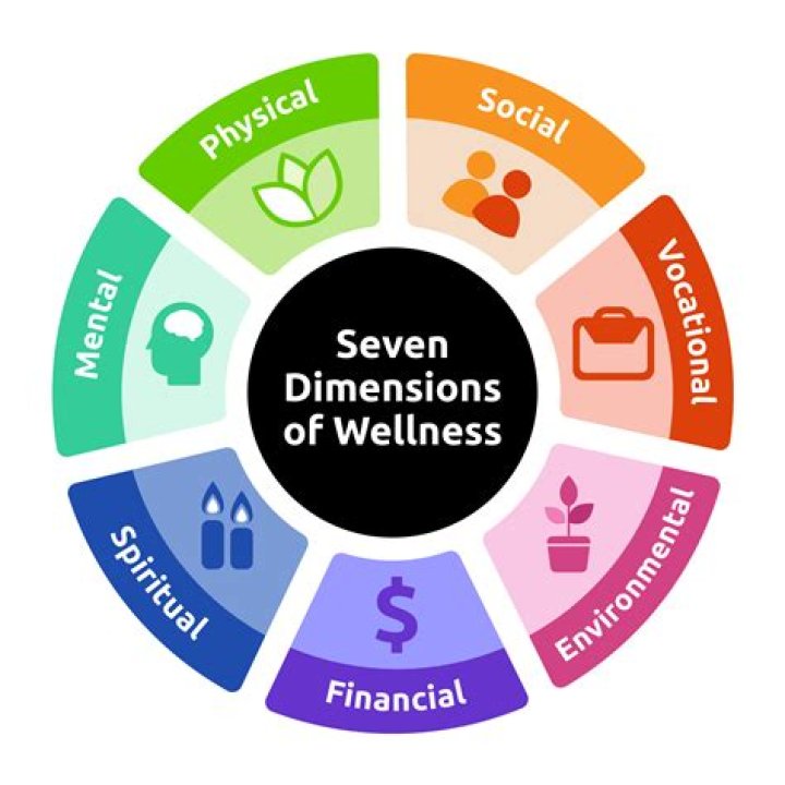 What are the dimensions of learning explain?