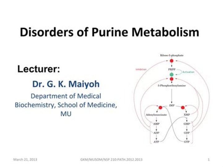 What are the disorders of purine metabolism?