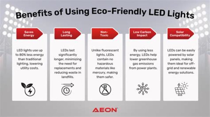 What are the eco friendly light bulbs called?