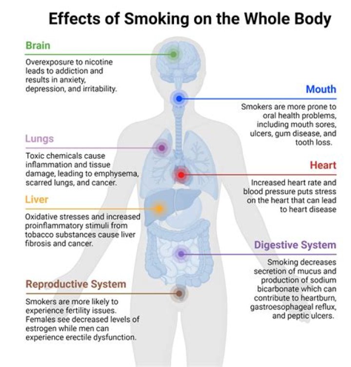 What are the effects of social smoking?