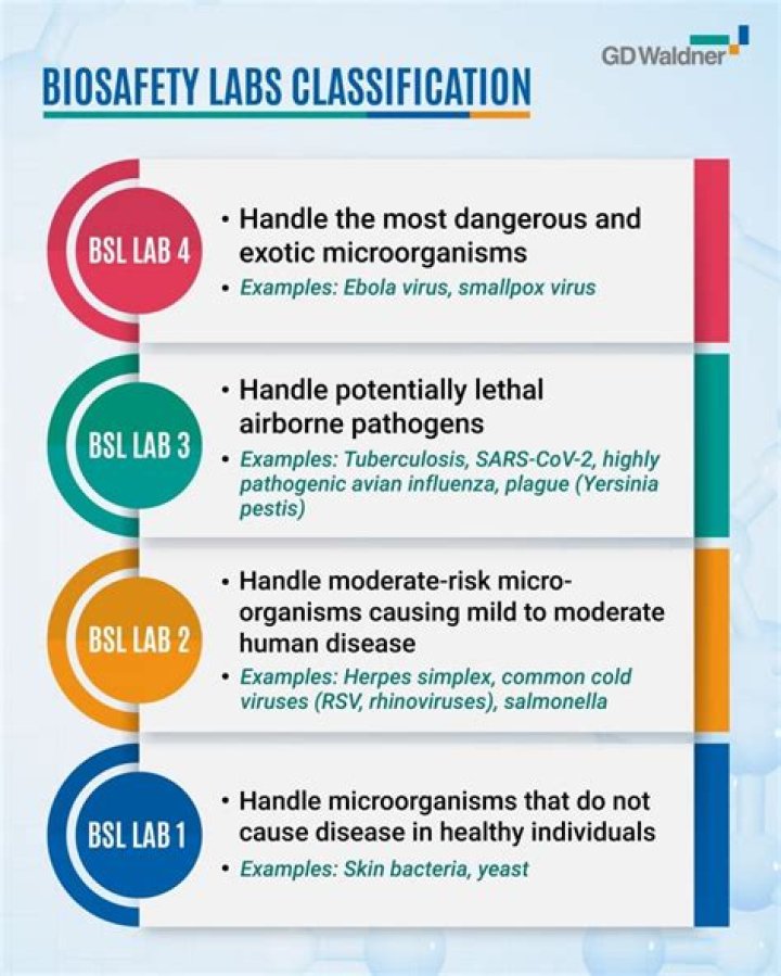 What are the essential requirements of BSL-3?