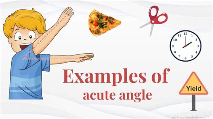 What are the examples of acute angle?