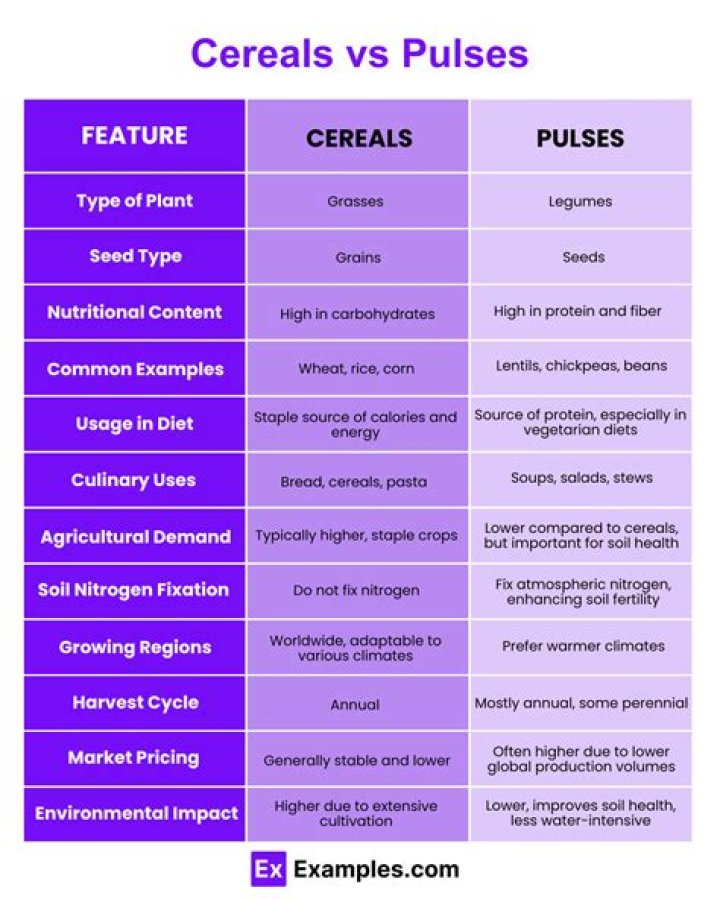 What are the examples of pulses and cereals?