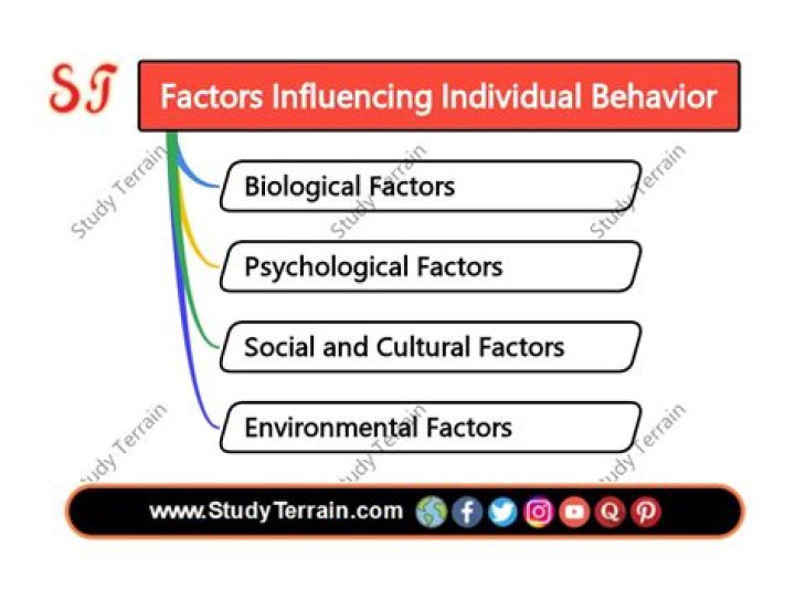 What are the factors influencing individual behaviour?