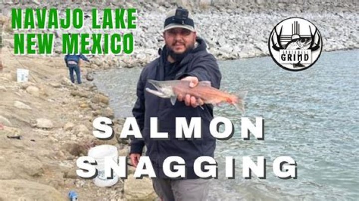 What are the fish biting on at Navajo Lake?