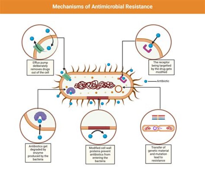 What are the five mechanisms of antibiotic resistance?