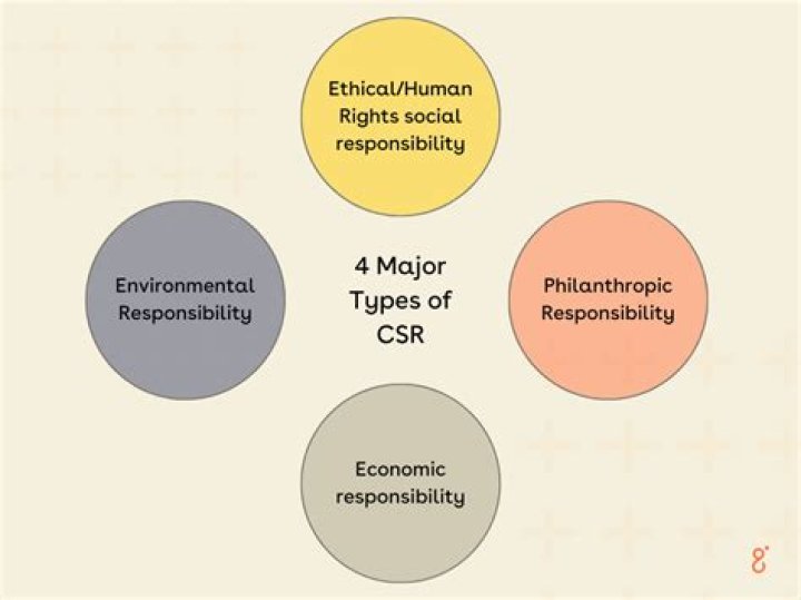 What are the four CSR strategies?
