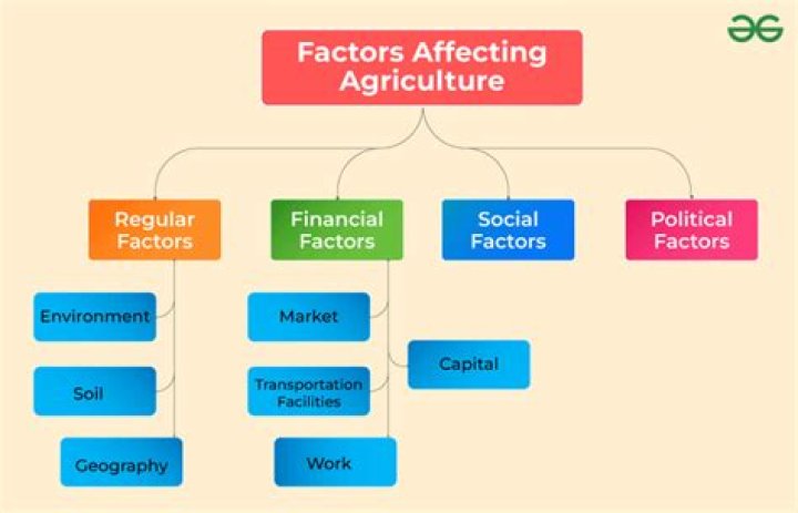 What are the four factors that affect taste of food?