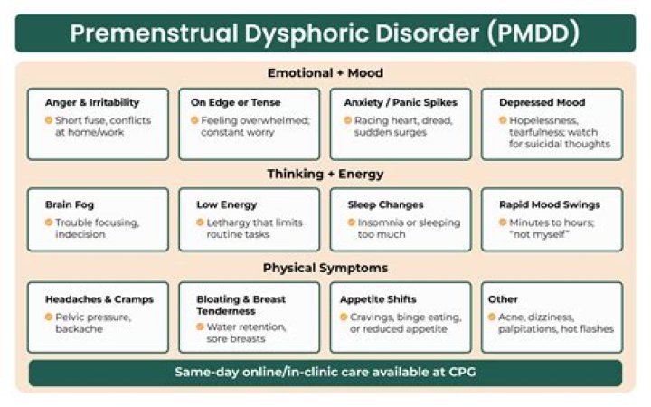 What are the four main areas of premenstrual dysphoric disorder symptoms?